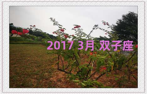 2017 3月 双子座